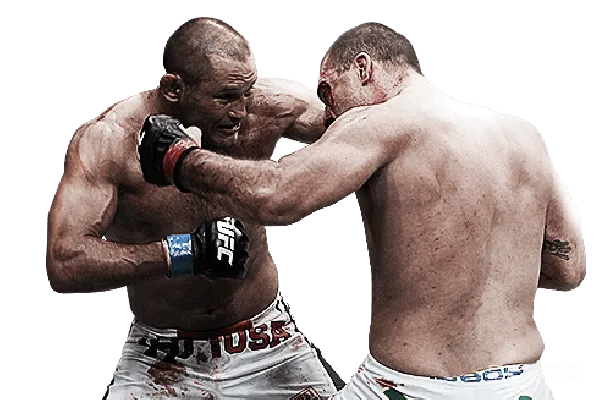 元素素材 UFC