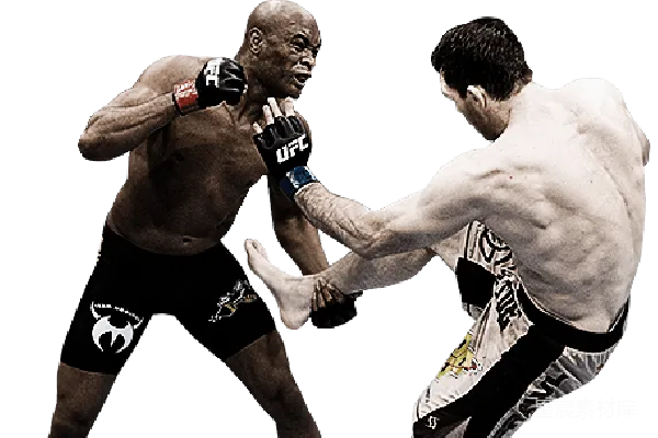 元素素材 UFC