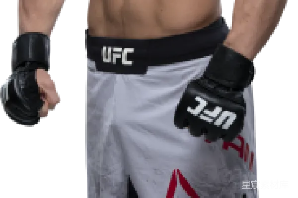 元素素材 UFC