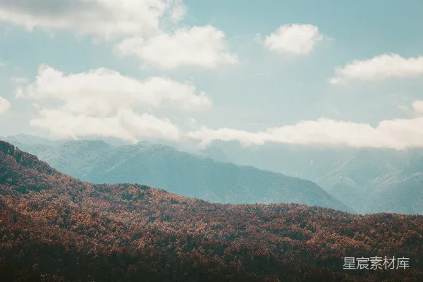 高清摄影 前景中有树木的山 Range 视角