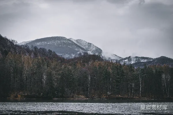 高清摄影 白天绿色和棕色树木近水域及覆有白雪的山峰之间