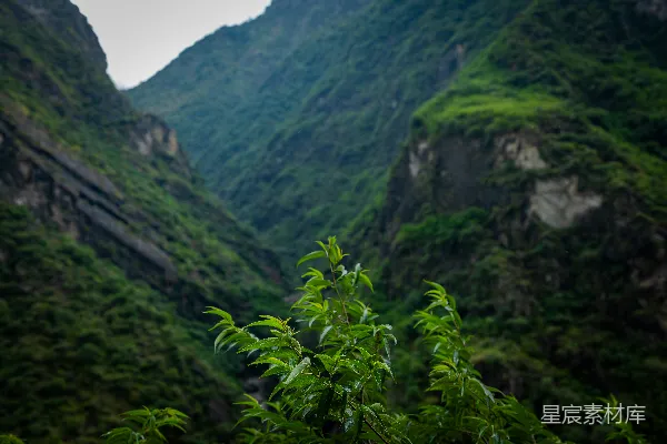 高清摄影 背景中有山的一处山谷美景