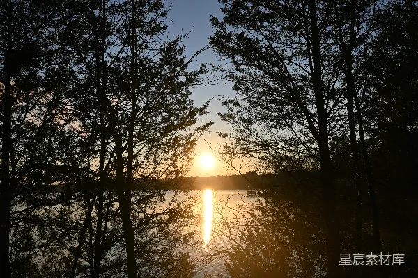 高清摄影 树丛中透过湖面的一抹夕阳