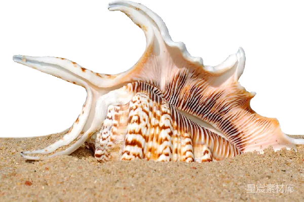 元素素材 海滩
