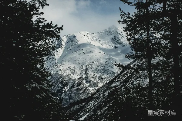 高清摄影 透过树木可以看到一座被雪覆盖的山峰。