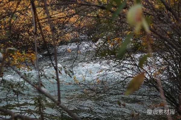高清摄影 秋叶映衬下的流淌溪流