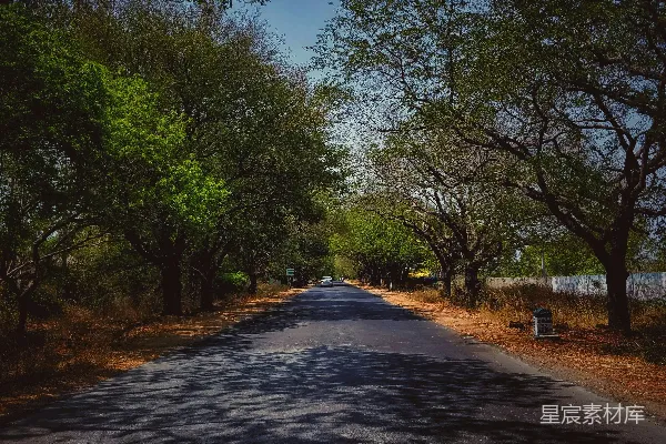 高清摄影 空旷的道路