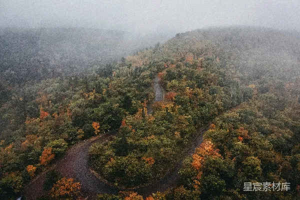 高清摄影 一条蜿蜒的道路在树木环绕中俯瞰的景象