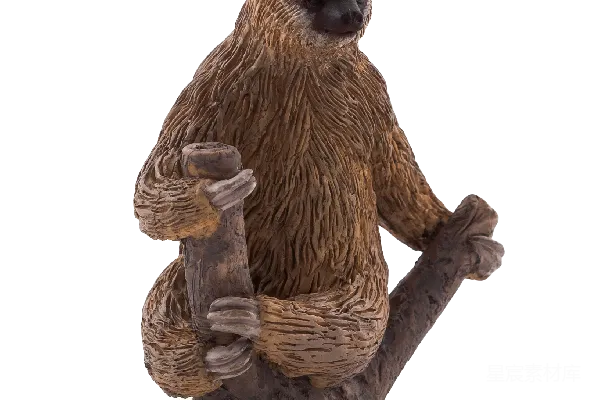 元素素材 PNG