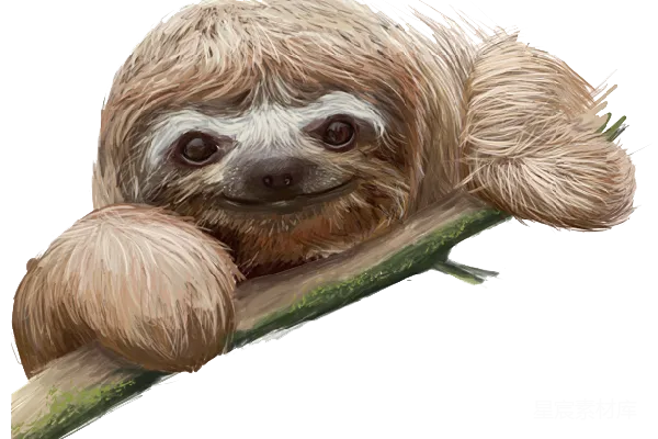 元素素材 sloth