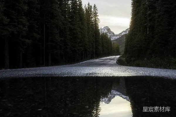 高清摄影 森林附近的道路