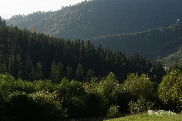 高清摄影 起伏的绿 hills 纵横交错的森林背景。