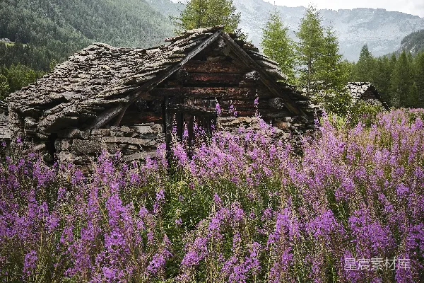 高清摄影 棕色木屋位于山脚下绿色草地上的白天景色