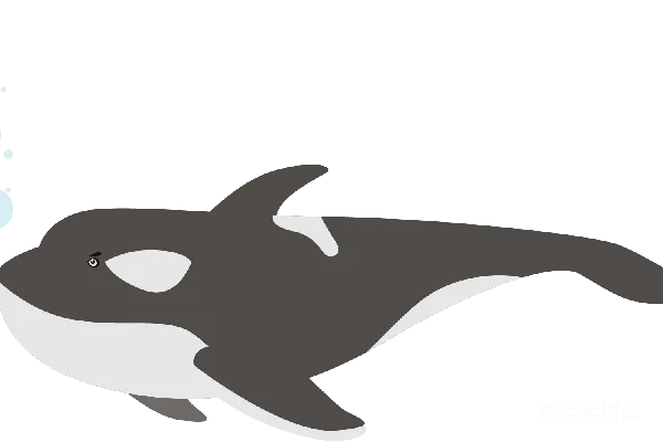 元素素材 卡通风格的海豚插画