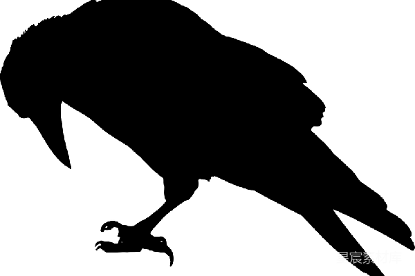 元素素材 蝙蝠