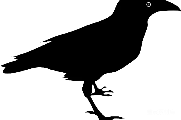 元素素材 蝙蝠