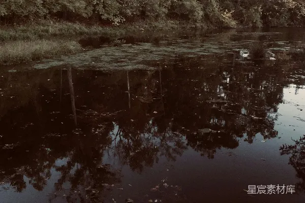 高清摄影 被树木和草地环绕的一片水域