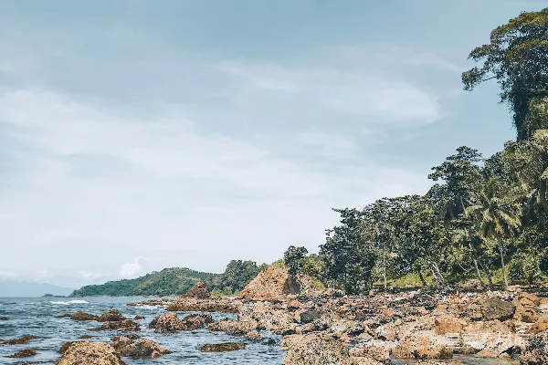高清摄影 围绕着岩石和树木的一片水域