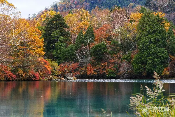 高清摄影 秋日湖景的风景照片
