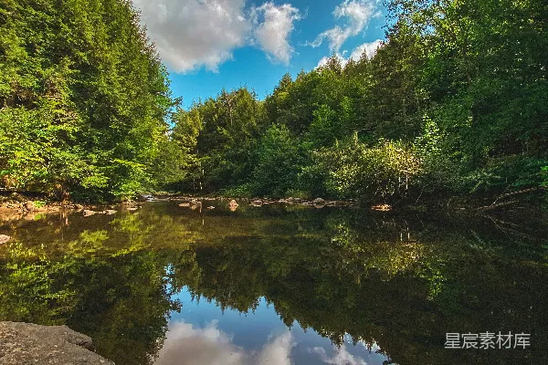 高清摄影 绿树傍河畔，蓝天白云映白日间。