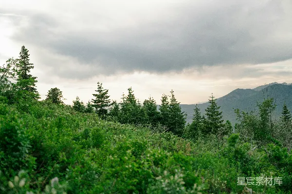 高清摄影 绿山 under a cloudy sky。