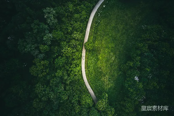 高清摄影 森林中蜿蜒的小路