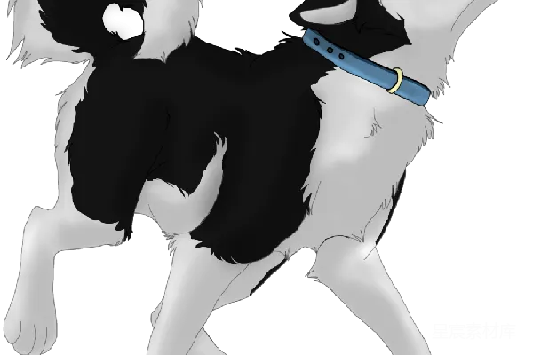 元素素材 husky