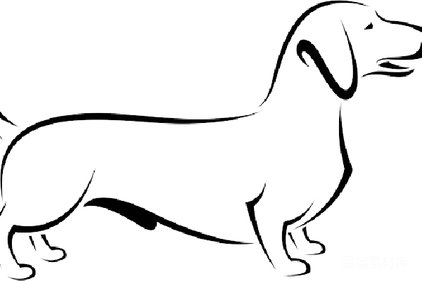 元素素材 PNG