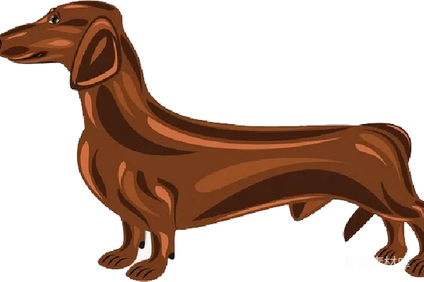 元素素材 卡通腊肠犬