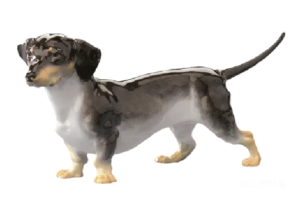 元素素材 杜松犬