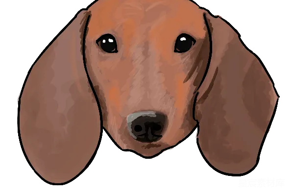 元素素材 杜沙犬