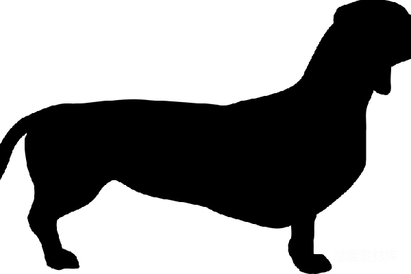 元素素材 透明