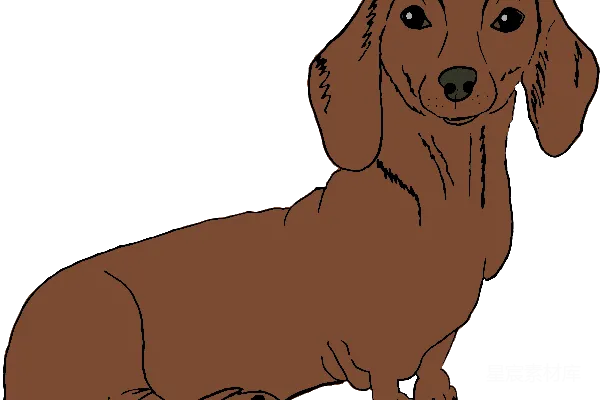 元素素材 杜高猎犬