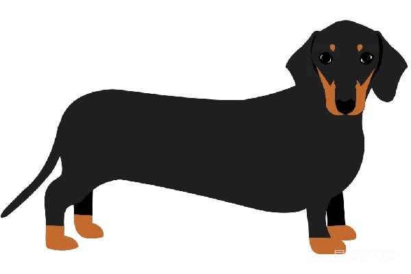元素素材 黑色腊肠犬卡通插画