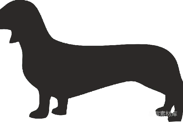 元素素材 杜高猎犬