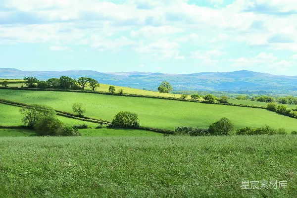 高清摄影 白天绿草遍野蓝天之下