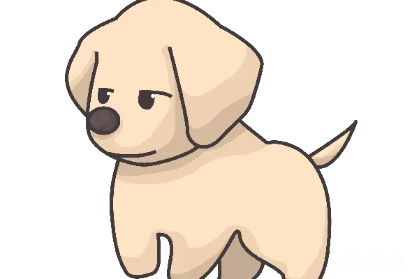 元素素材 拉布拉多犬