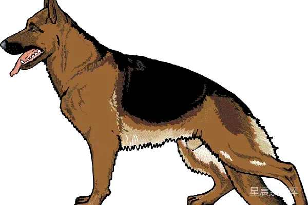 元素素材 德国牧羊犬的卡通插画