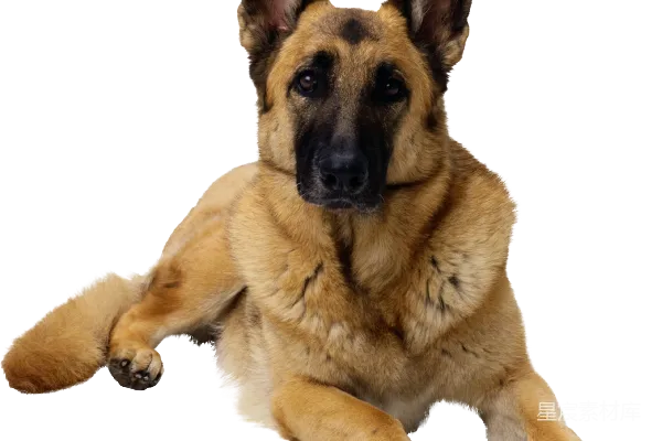 元素素材 德国