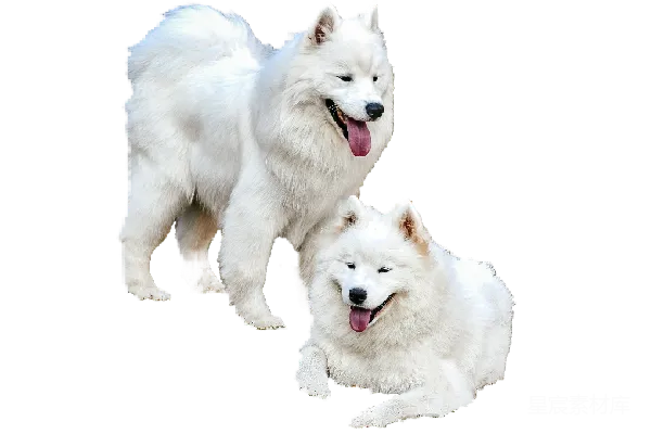 元素素材 透明