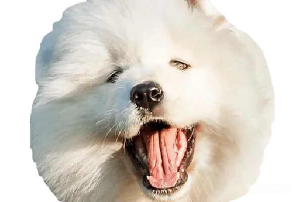 元素素材 512x512