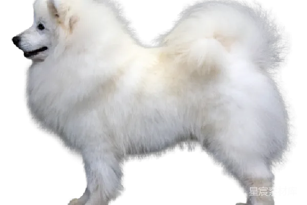 元素素材 透明
