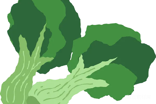 元素素材 西兰花