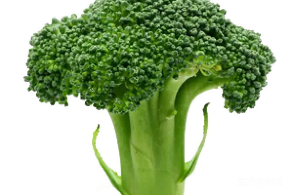 元素素材 西兰花