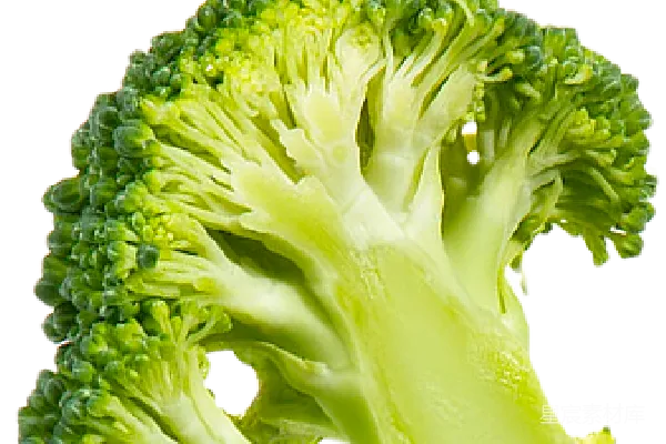 元素素材 西兰花