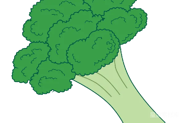 元素素材 西兰花