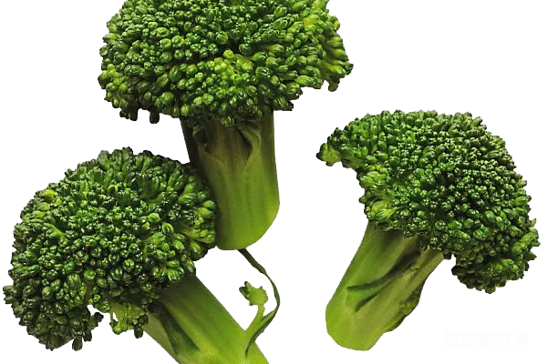 元素素材 西兰花