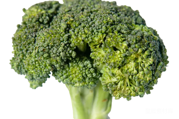 元素素材 broccoli