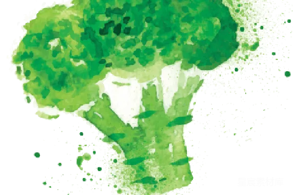 元素素材 西兰花