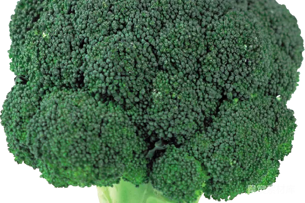 元素素材 西兰花
